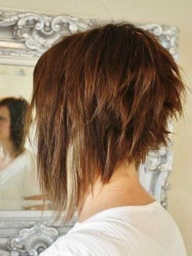 Latest 50 Haircuts Short In Back Longer In Front – Hairstyles For Regarding Hairstyles Long In Front Short In Back (View 1 of 15)