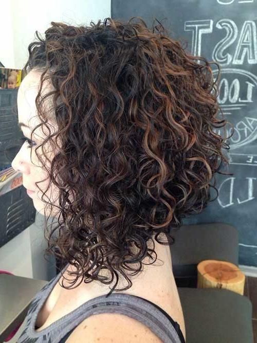 Current Short Curly Inverted Bob Hairstyles Pertaining To 20 Inverted Bob Hairstyles (View 4 of 15)