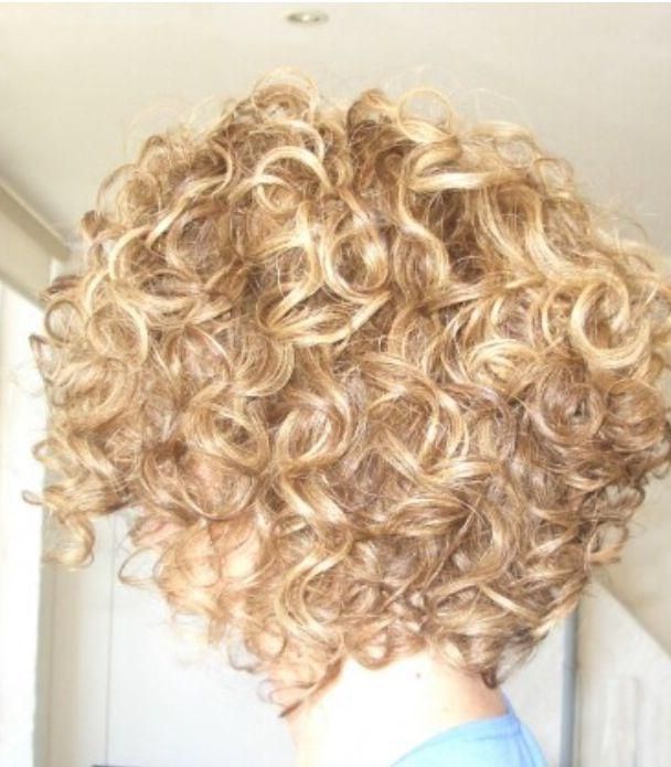 Well Known Curly Inverted Bob Hairstyles Within The 25+ Best Curly Inverted Bob Ideas On Pinterest (Gallery 75 of 292)