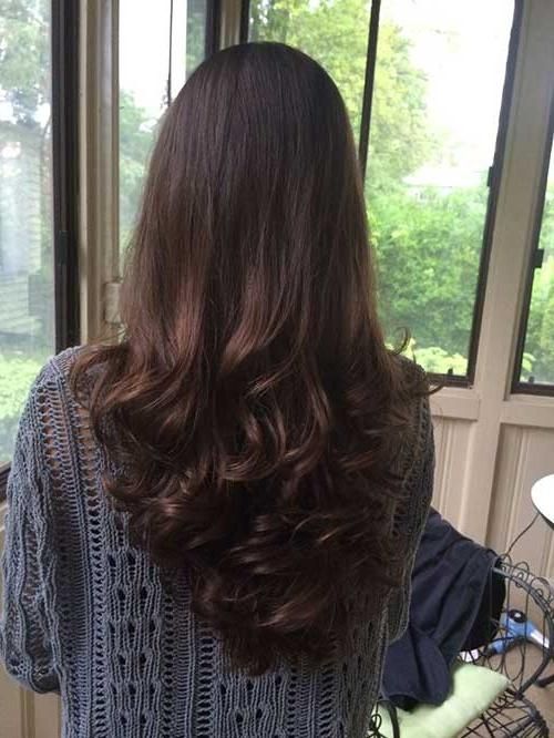 10+ Long Layered Hair Back View | Hairstyles & Haircuts 2016 – 2017 Pertaining To Back View Of Long Hairstyles (View 4 of 15)