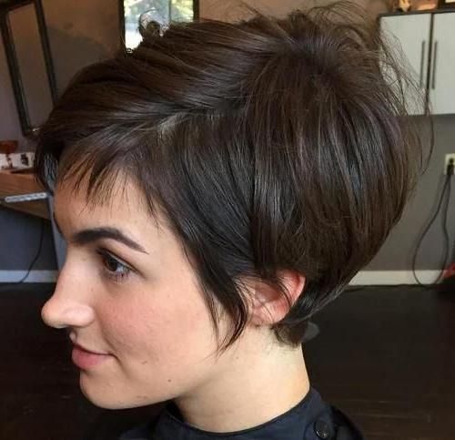 2018 Short Pixie Bob Hairstyles Intended For Best 25+ Pixie Bob Haircut Ideas On Pinterest (View 8 of 15)