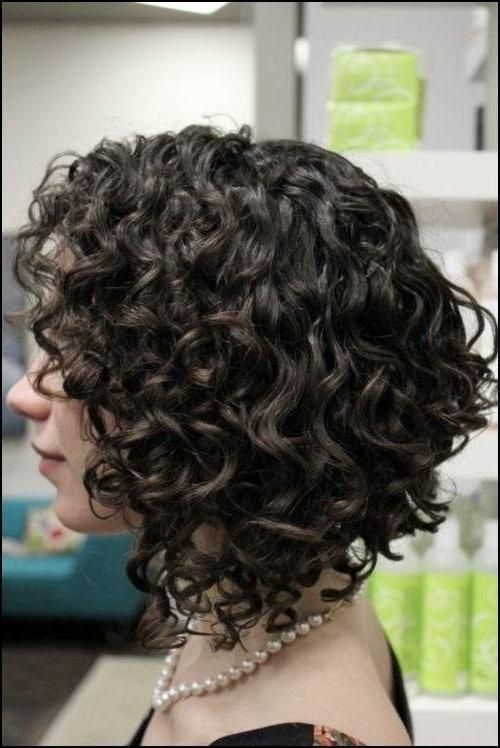 Get An Inverted Bob Haircut For Curly Hair Regarding Well Known Inverted Bob Haircut For Curly Hair (View 1 of 15)