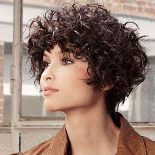 16 Short Hairstyles For Thick Curly Hair – Crazyforus Pertaining To Thick Curly Hair Short Hairstyles (View 18 of 20)