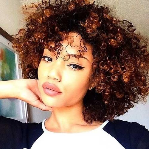50 Boldest Short Curly Hairstyles For Black Women [2017] Inside Curly Short Hairstyles Black Women (View 4 of 20)