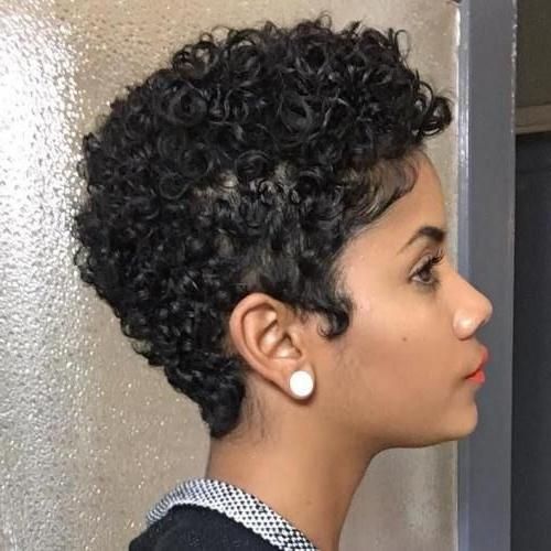 Natural Short Curly Hairstyles Pinterest