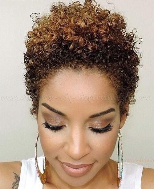 Best 25+ Short Natural Curly Hairstyles Ideas On Pinterest | Cute Within Naturally Curly Short Hairstyles (View 3 of 20)