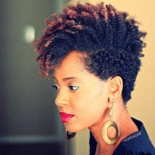 Good Natural Black Short Hairstyles | Short Hairstyles 2016 – 2017 Regarding Afro Short Haircuts (View 2 of 20)
