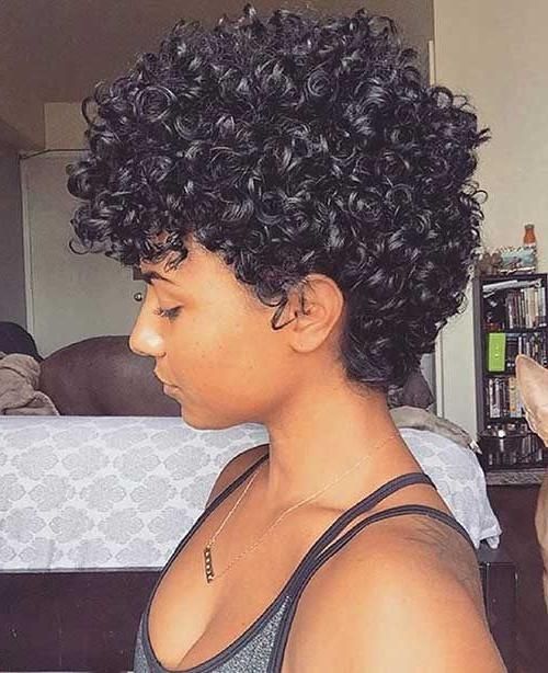 Más De 25 Ideas Increíbles Sobre Cabello Natural 3c En Pinterest Regarding Short Haircuts For Naturally Curly Hair (View 20 of 20)