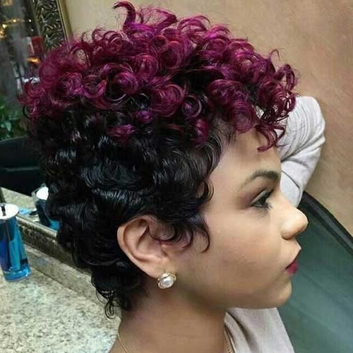 Natural Curly Short Hairstyles | Short Hairstyles & Haircuts 2017 Inside Naturally Curly Short Haircuts (View 13 of 20)