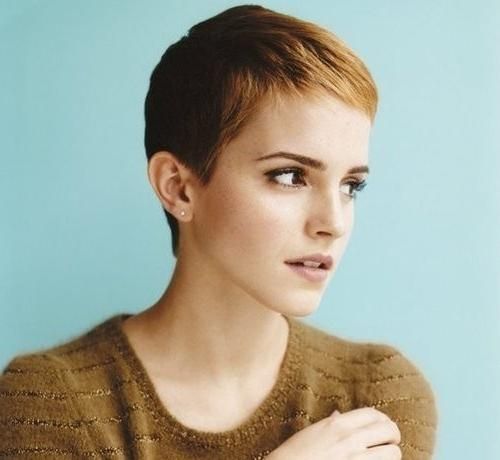 Best Medium Hairstyle In Famous Pixie Haircuts For Oval Face (View 14 of 20)