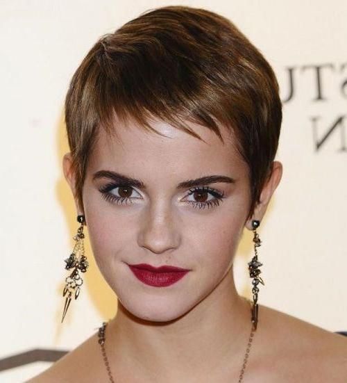 Lovely Pixie Haircut For Thin Hair (View 17 of 20)