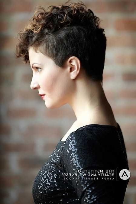 Most Current Short Curly Pixie Haircuts Inside Curly Pixie Haircut – Braiding Hairstyle Pictures (View 8 of 20)