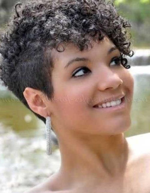 Most Up To Date Naturally Curly Pixie Haircuts Throughout 15+ Pixie Haircuts For Curly Hair (View 12 of 20)