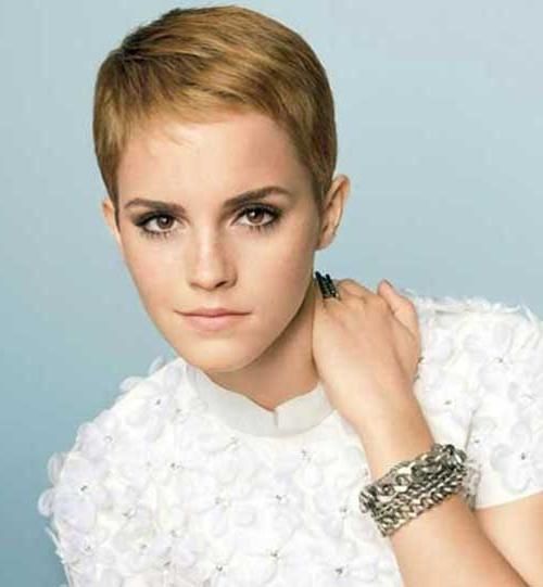 Most Within Trendy Short Pixie Haircuts For Fine Hair (View 20 of 20)