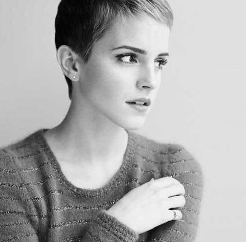 Short Hairstyles  (View 3 of 20)