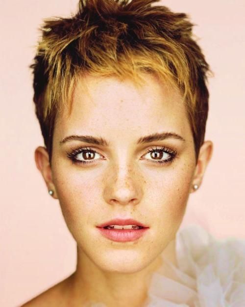 Short Hairstyles 2016 – 2017 Pertaining To Favorite Women Pixie Haircuts (View 3 of 20)