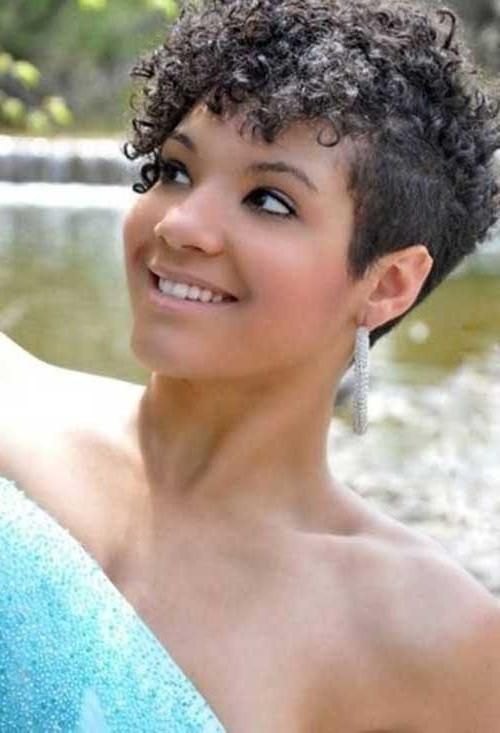 Short Hairstyles 2016 – 2017 With Regard To Most Recently Released Naturally Curly Pixie Haircuts (View 11 of 20)