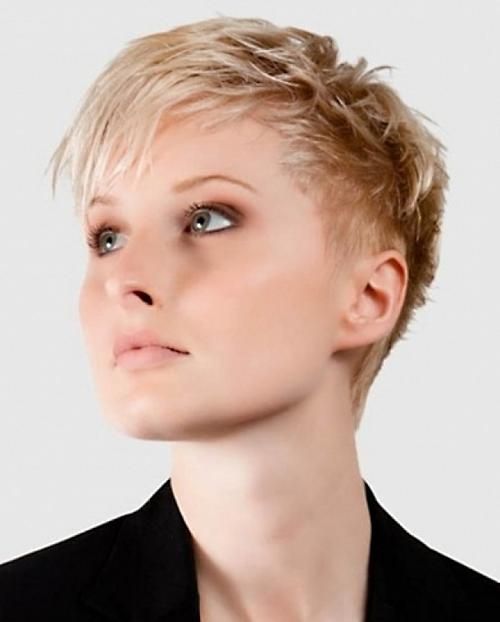 Short Hairstyles  (View 17 of 20)