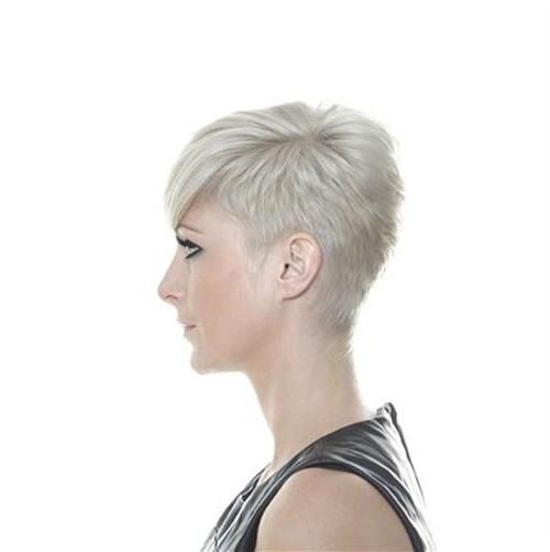 Short Hairstyles  (View 11 of 20)