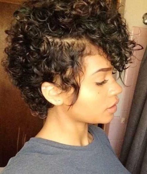 Short Hairstyles & Haircuts 2017 With Regard To Well Known Naturally Curly Pixie Haircuts (View 15 of 20)