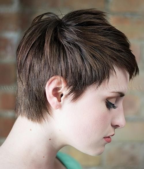 Trendy Hairstyles For Women Pertaining To Well Known Male Pixie Haircuts (View 3 of 20)