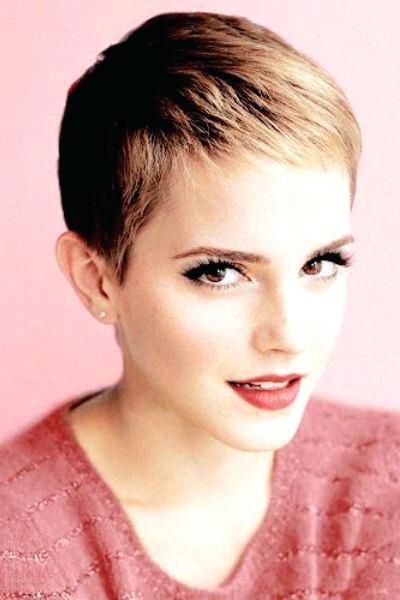 Unique Pixie Haircuts For Fine Hair And Round Faces Pixie Pertaining To Famous Pixie Haircuts For Thin Hair (View 9 of 20)
