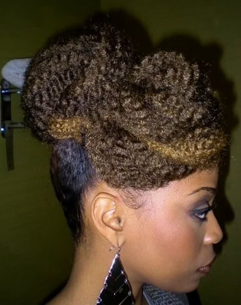 Cute Hairstyles Updo Hairstyles For African American Natural Hair With Cute Updos For African American Hair (View 12 of 15)
