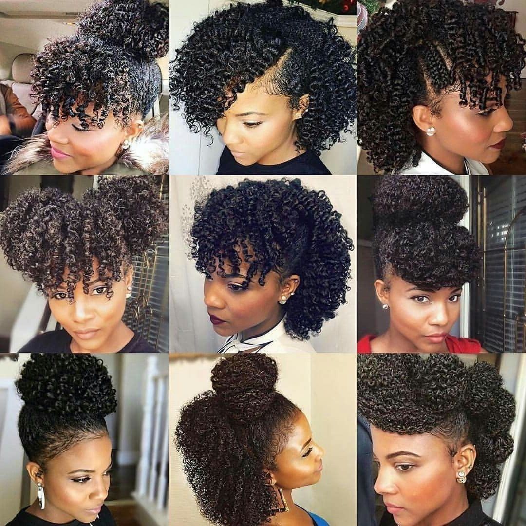 Hair Care Techniques You Should Use To Grow Long Gorgeous Natural Intended For Black Curly Hair Updo Hairstyles (View 13 of 15)
