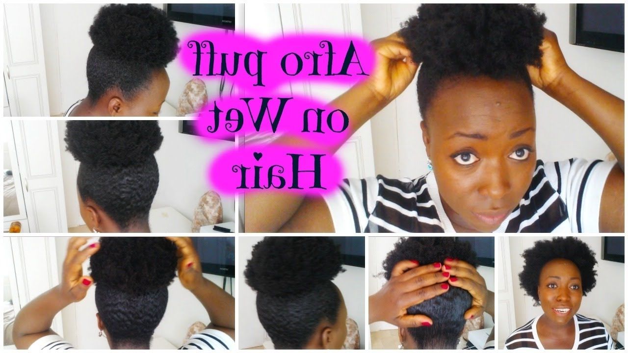 Natural Hair Updo On Wet 4c Hair High Afro Puff Hairstyle Tutorial For Updos For Long Natural Hair (View 12 of 15)