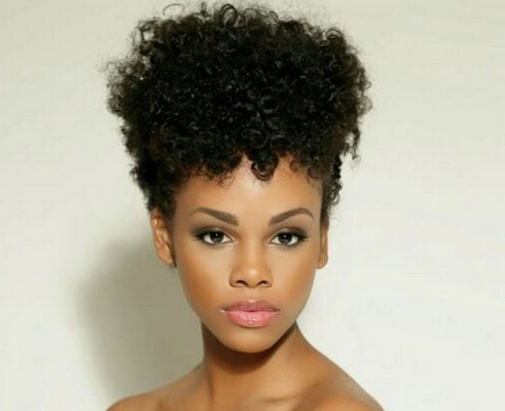Updo Hairstyles For Black Women Who Love Style With Black Updo Hairstyles (View 7 of 15)