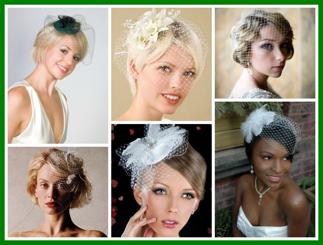 Appealing Birdcage Veil For Short Hair Things To Wear Of Wedding With Regard To Well Known Wedding Hairstyles For Short Hair With Veil (View 5 of 15)