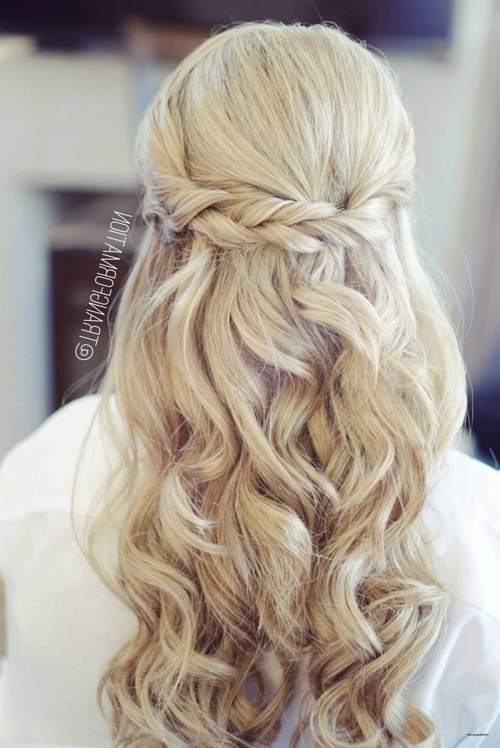 Elegant Hairstyles Half Up Half Down Lovely Half Up Half Down Bridal In 2017 Half Up Half Down Wedding Hairstyles (View 8 of 15)