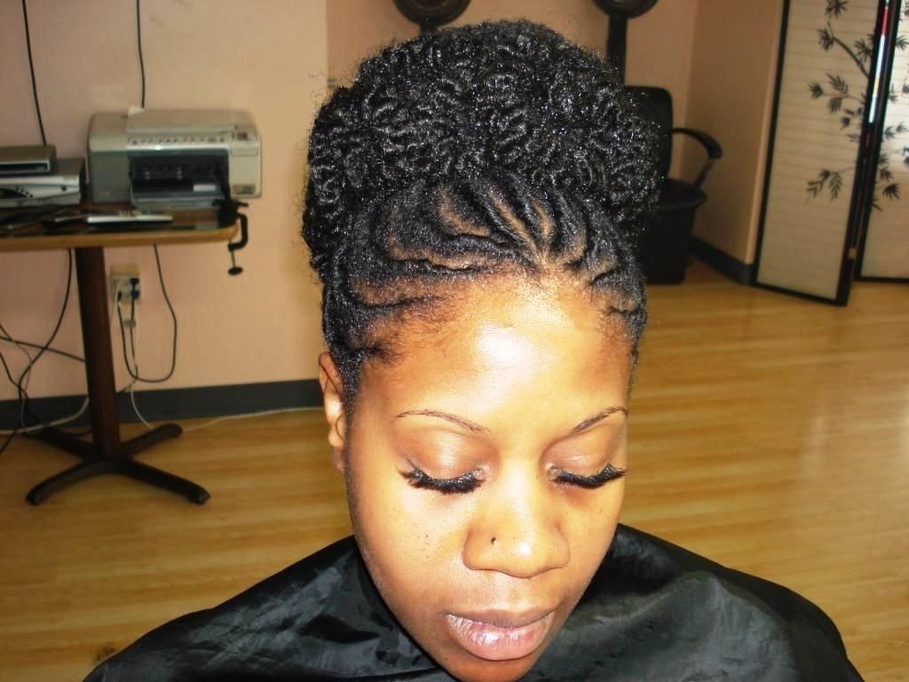 Best And Newest Braided Hairstyles For African American Hair Inside √ 24+ Nice Black Hair Braided Hairstyles: Photo: African American (View 10 of 15)