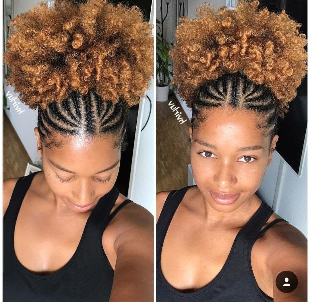 Braided Hairstyles For Natural Hair Pinterest Braid Outles Short Inside Widely Used Braided Hairstyles On Natural Hair (View 3 of 15)