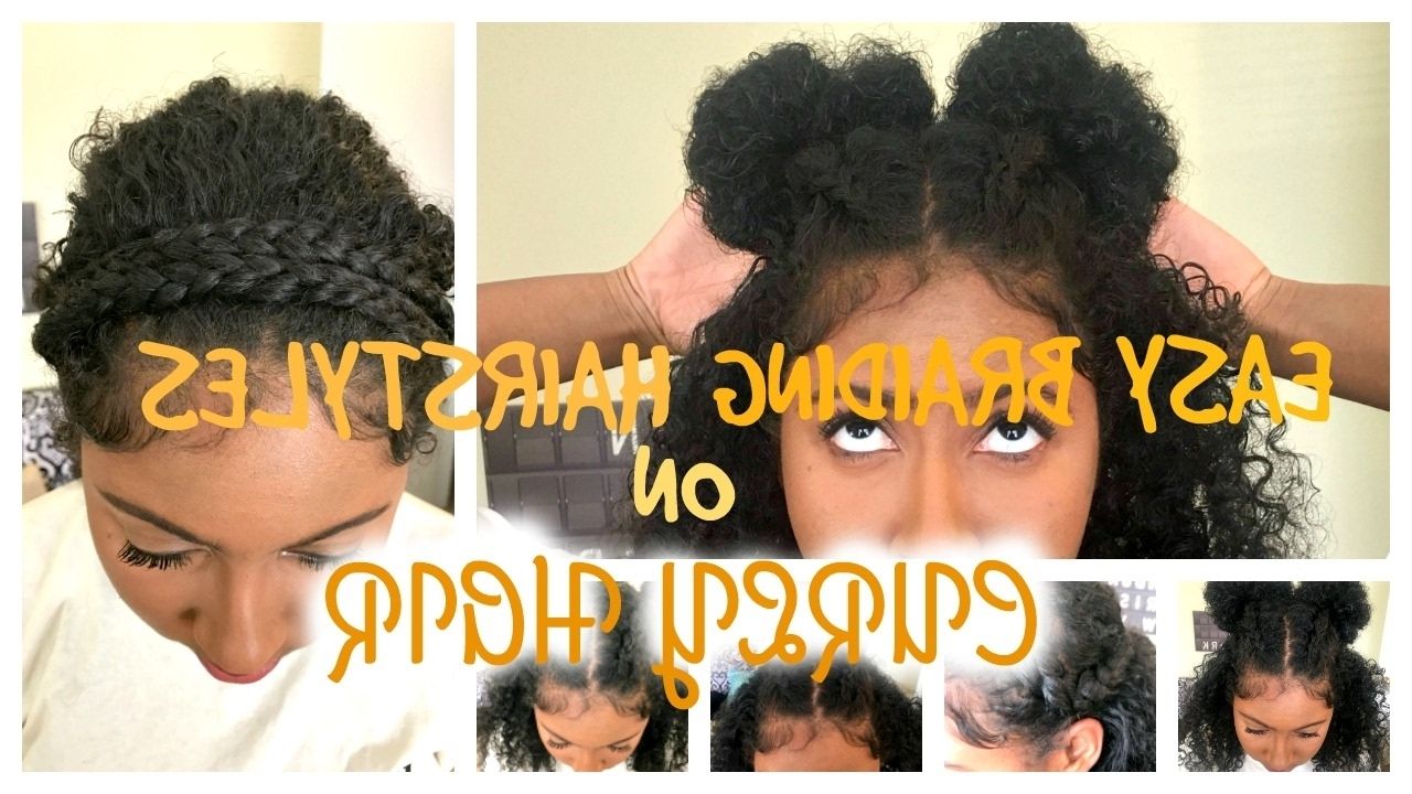 Easy Braiding Hairstyles On Curly Hair (View 11 of 15)