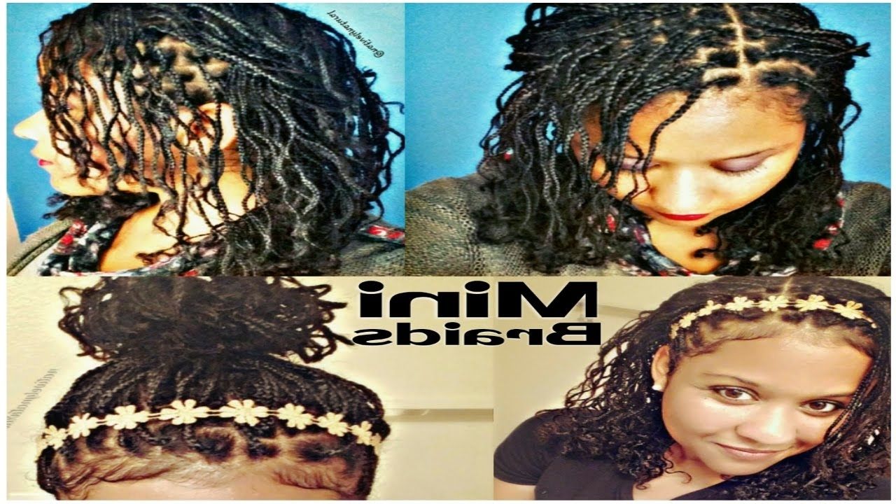 Mini Braids (no Weave) Natural Hair Protective Style For Length Throughout Most Popular Braided Hairstyles Without Weave (View 3 of 15)