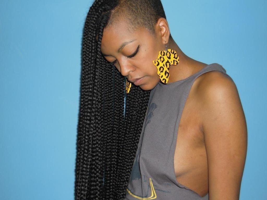 Most Recently Released One Side Shaved Braided Hairstyles Intended For One Side Braid Black Hairstyles Glamorous Micro Braids With Shaved (View 8 of 15)