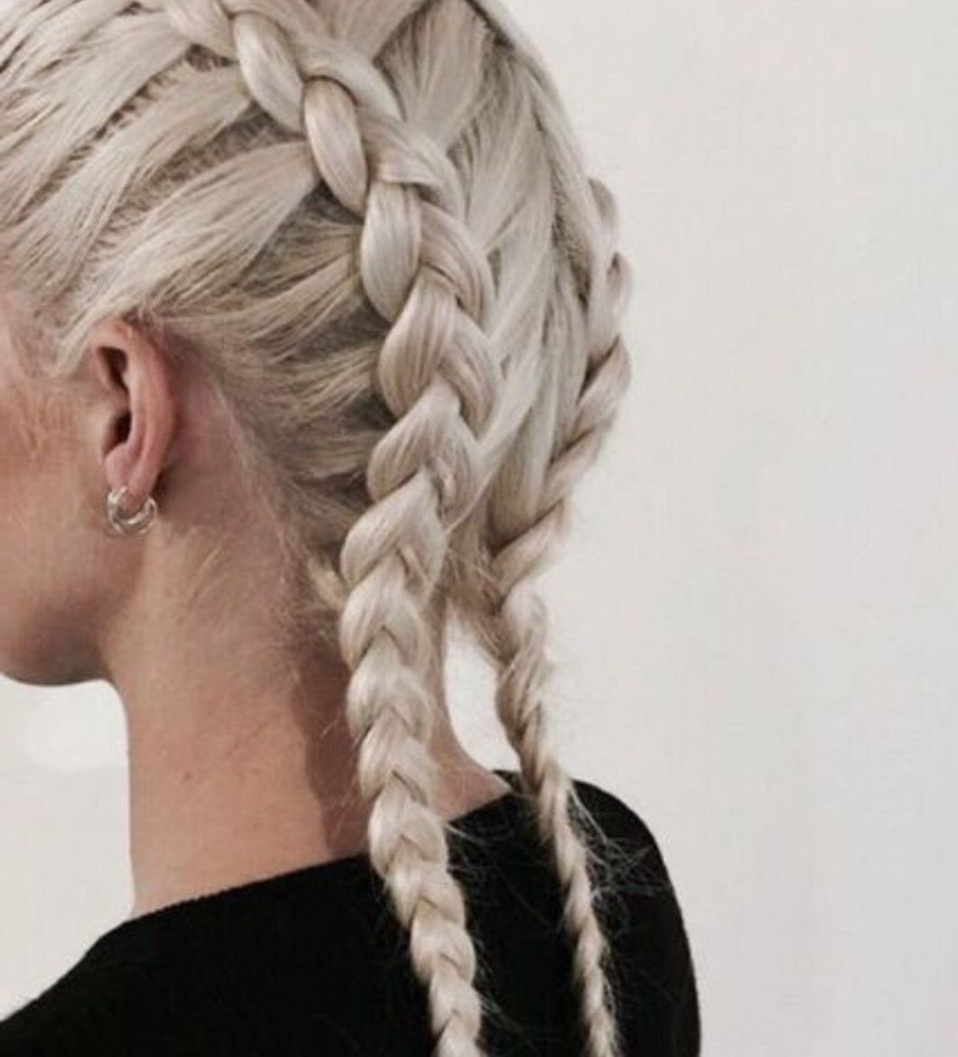 Most Up To Date Braided Hairstyles For White Hair Pertaining To Two Braided Plaits Tight Pull Back White Hair (View 1 of 15)