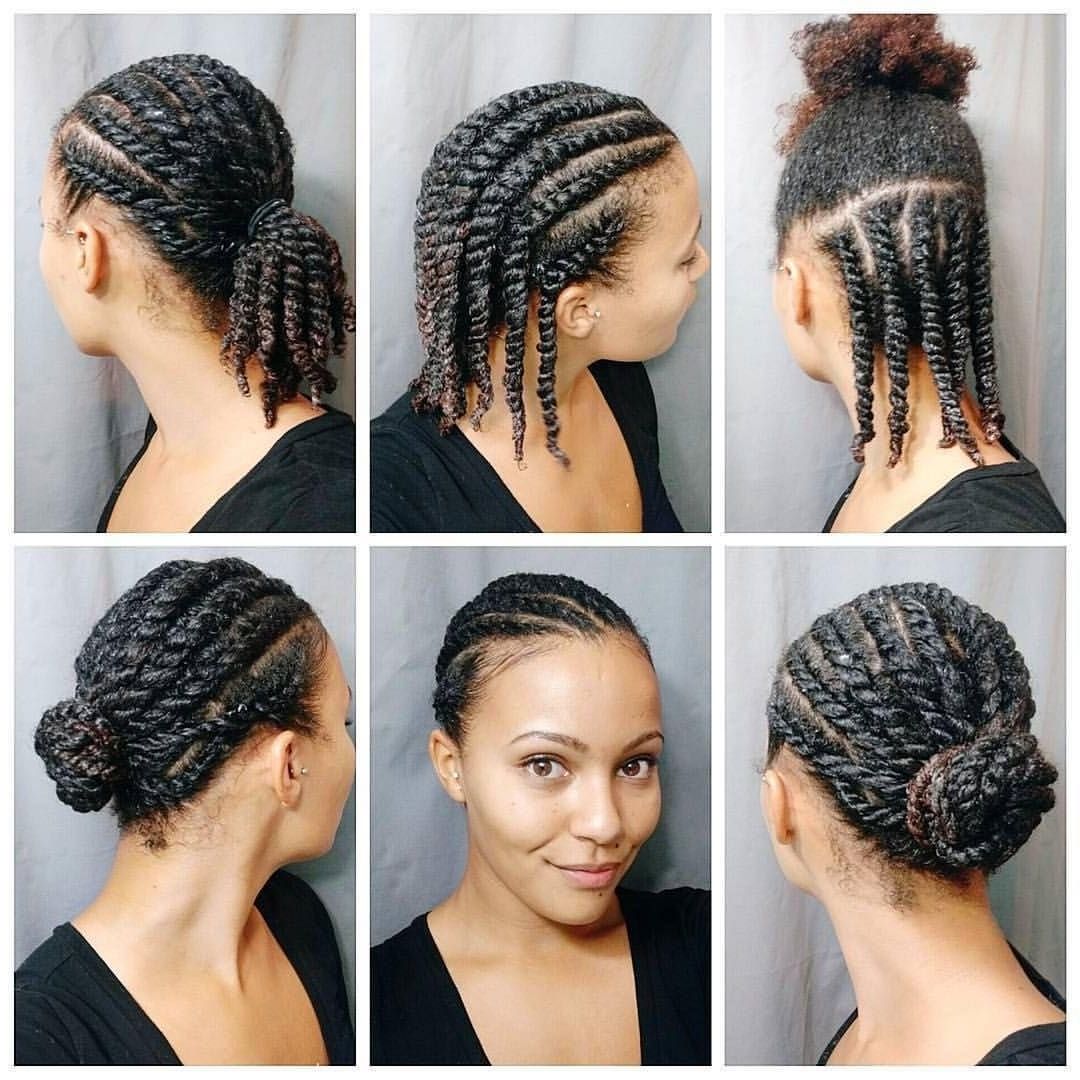 Newest Braided Hairstyles With Natural Hair Regarding Ideas Easy Braided Hairstyles Natural Hair Fantastic For Black Quick (View 14 of 15)