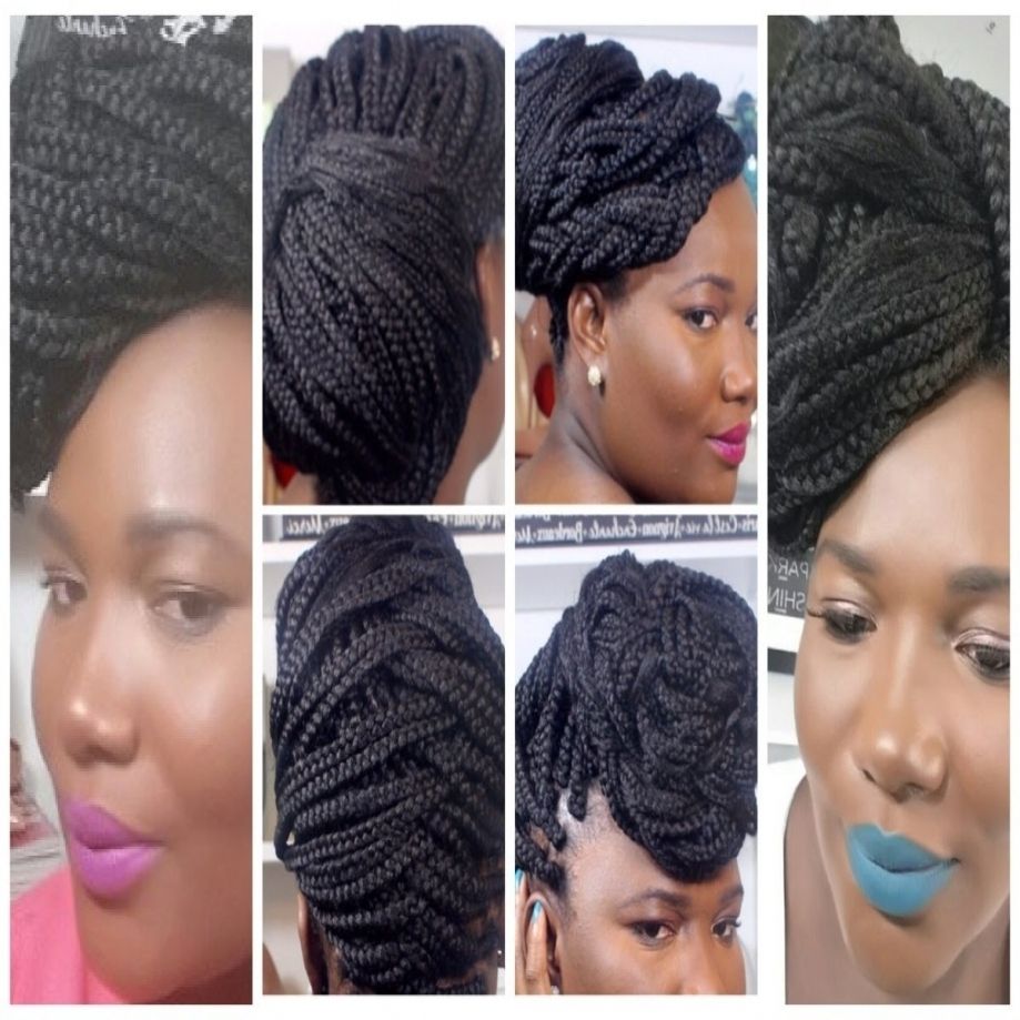Popular Pinned Up Braided Hairstyles Pertaining To Pin Up Hairstyles With Braids Styles For Crochet Micro Phenomenal (View 9 of 15)