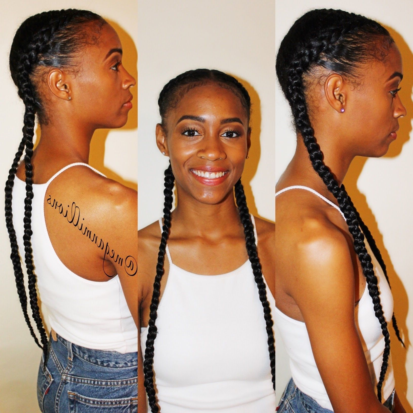 Protective Style For Recent Braided Hairstyles With Two Braids (View 2 of 15)
