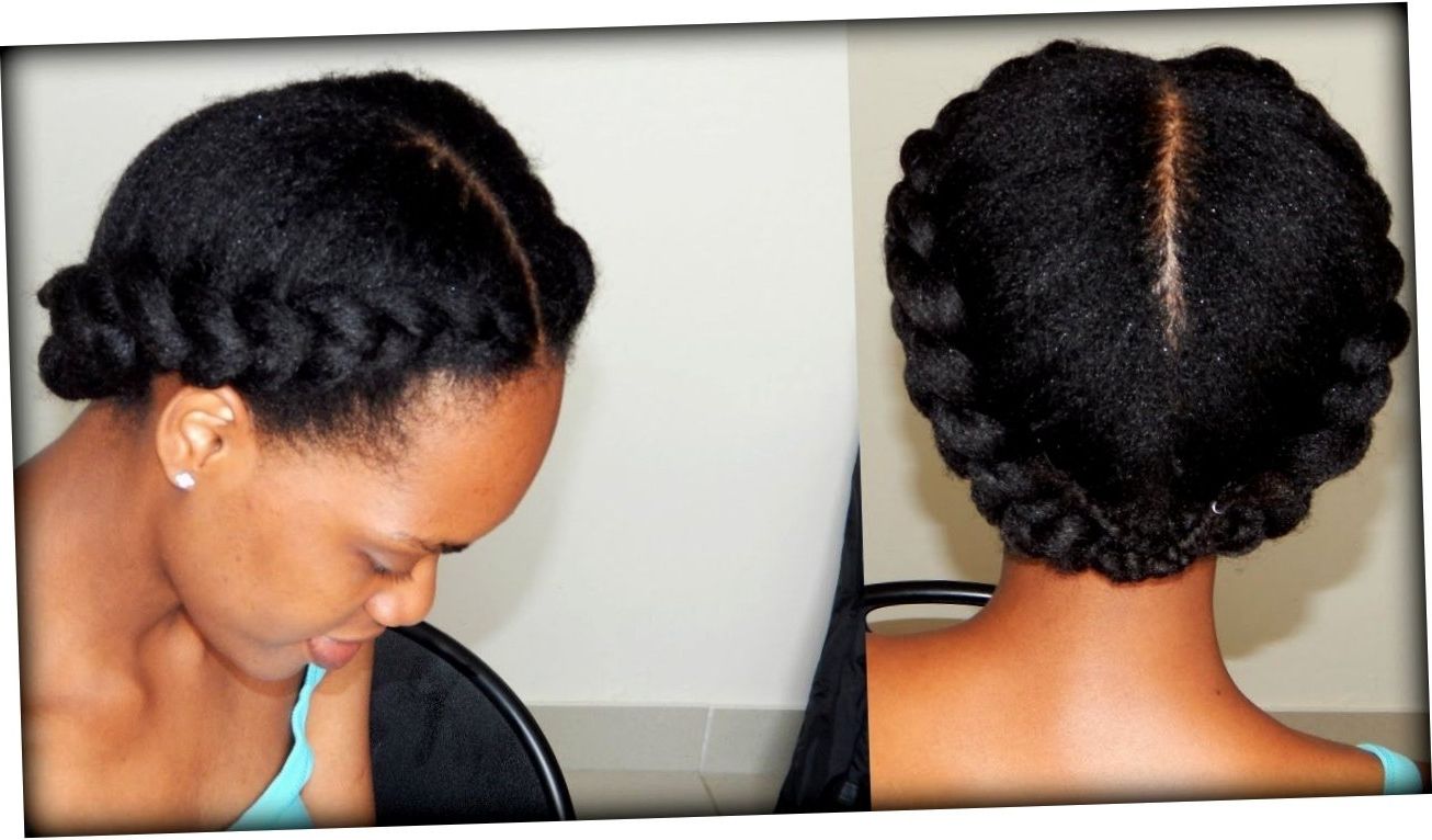 Recent Braided Hairstyles With Natural Hair With Regard To African Braided Hairstyles For Natural Hair – Wedding Party (View 9 of 15)