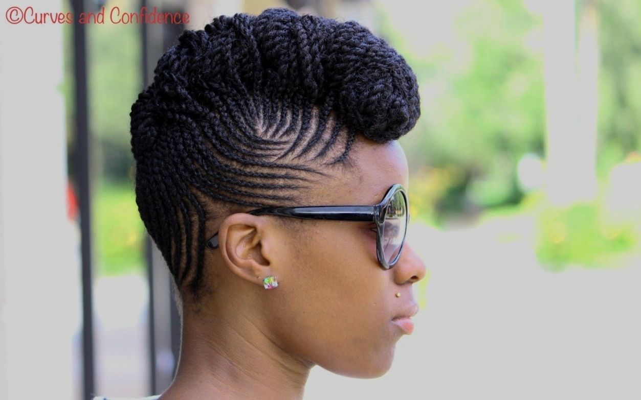 Trendy Braided Hairstyles For Natural Hair Within Easy Braided Hairstyles Natural Hair – Hairstyle Pop (View 13 of 15)