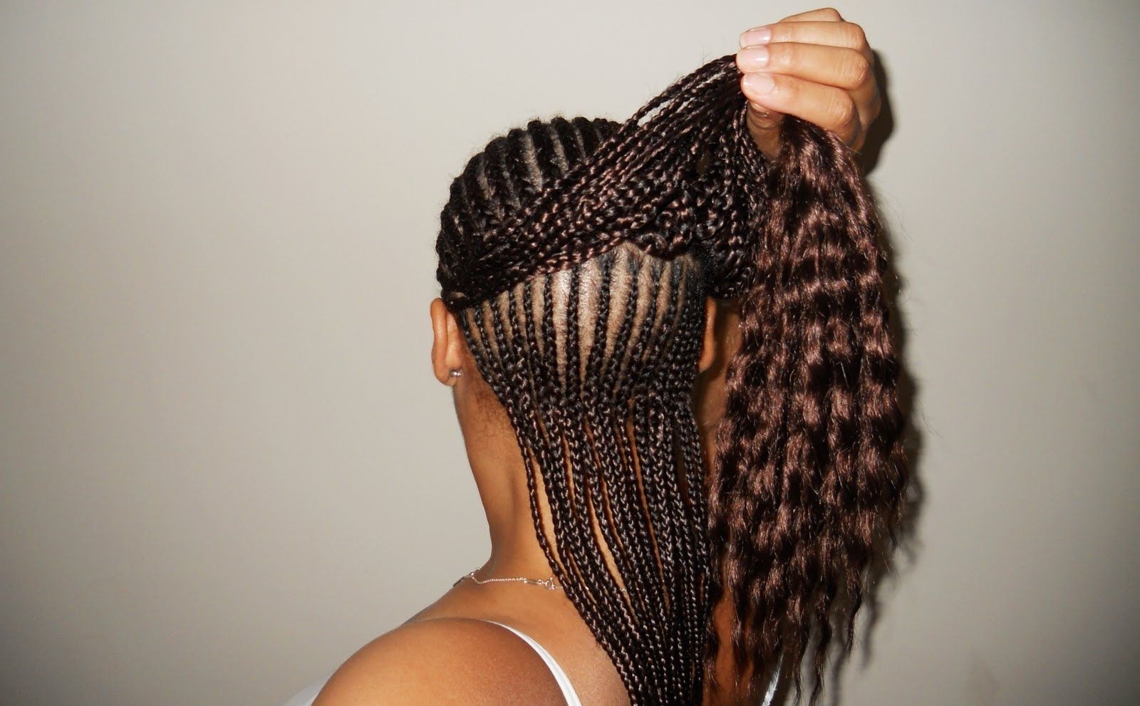 Two Layer Braids Hairstyles (View 3 of 15)