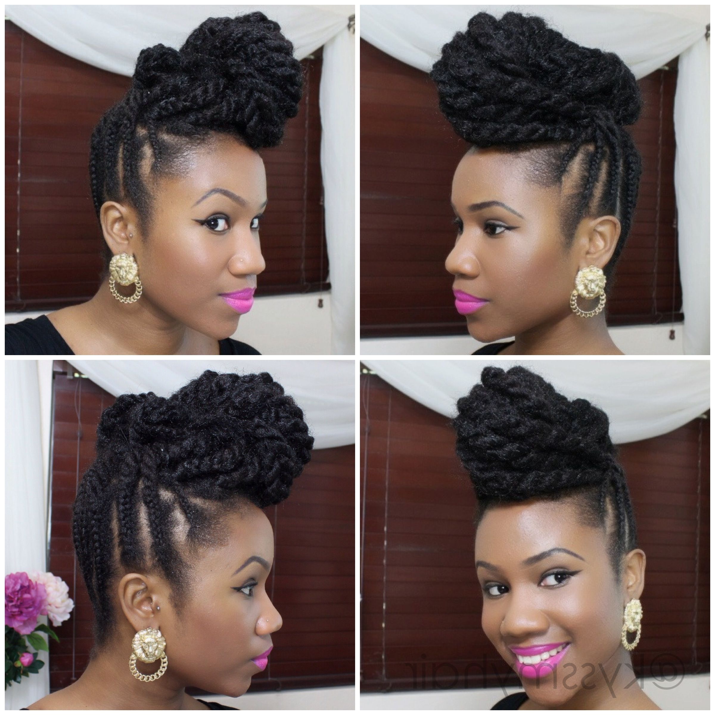 Well Known Braided Hairstyles With Natural Hair Regarding Collection Of Solutions Braids Updo Hairstyles Black Lovely Braided (View 15 of 15)