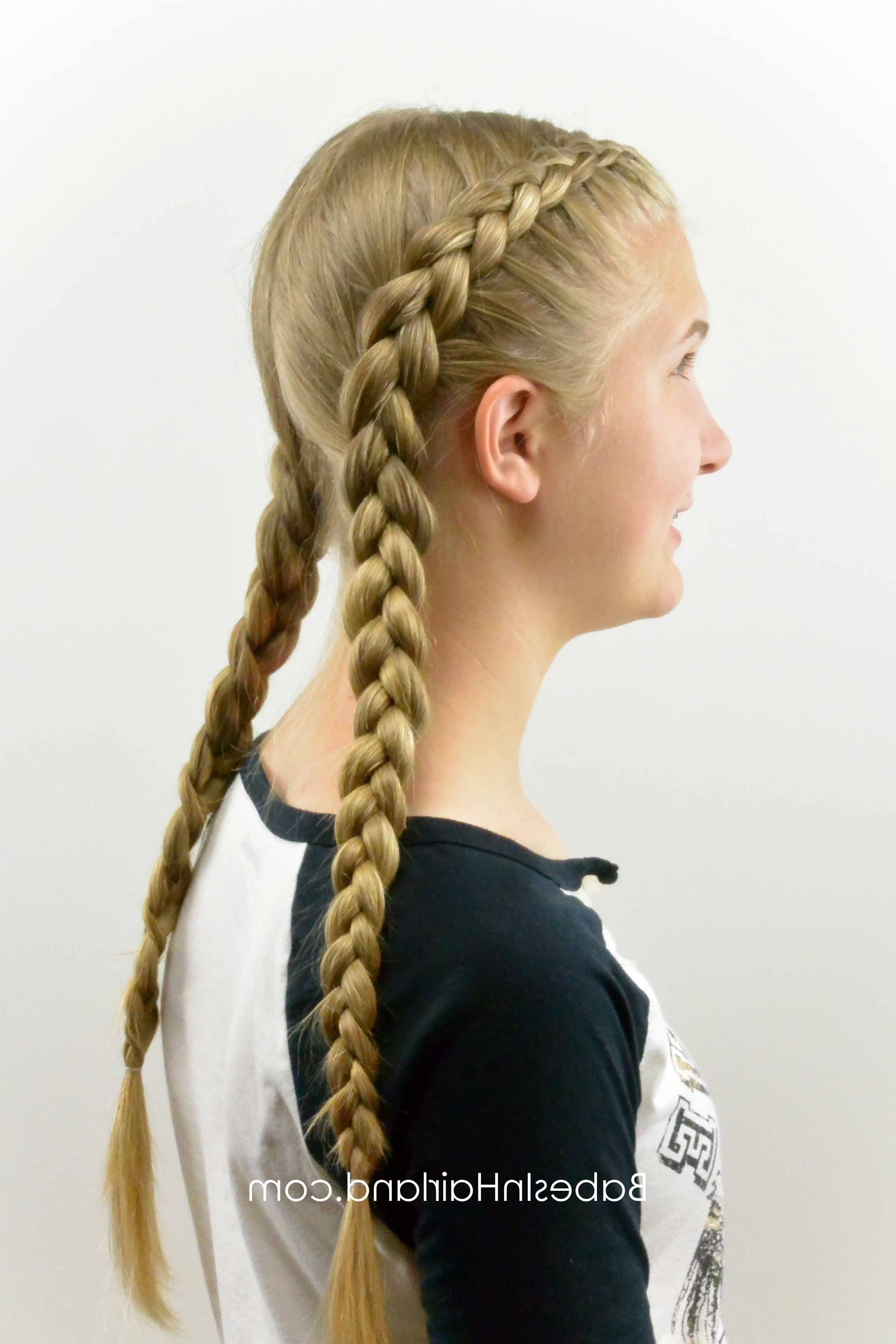 Well Liked Pigtails Braided Hairstyles For How To: Tight Dutch Braids On Yourself – Babes In Hairland (View 15 of 15)