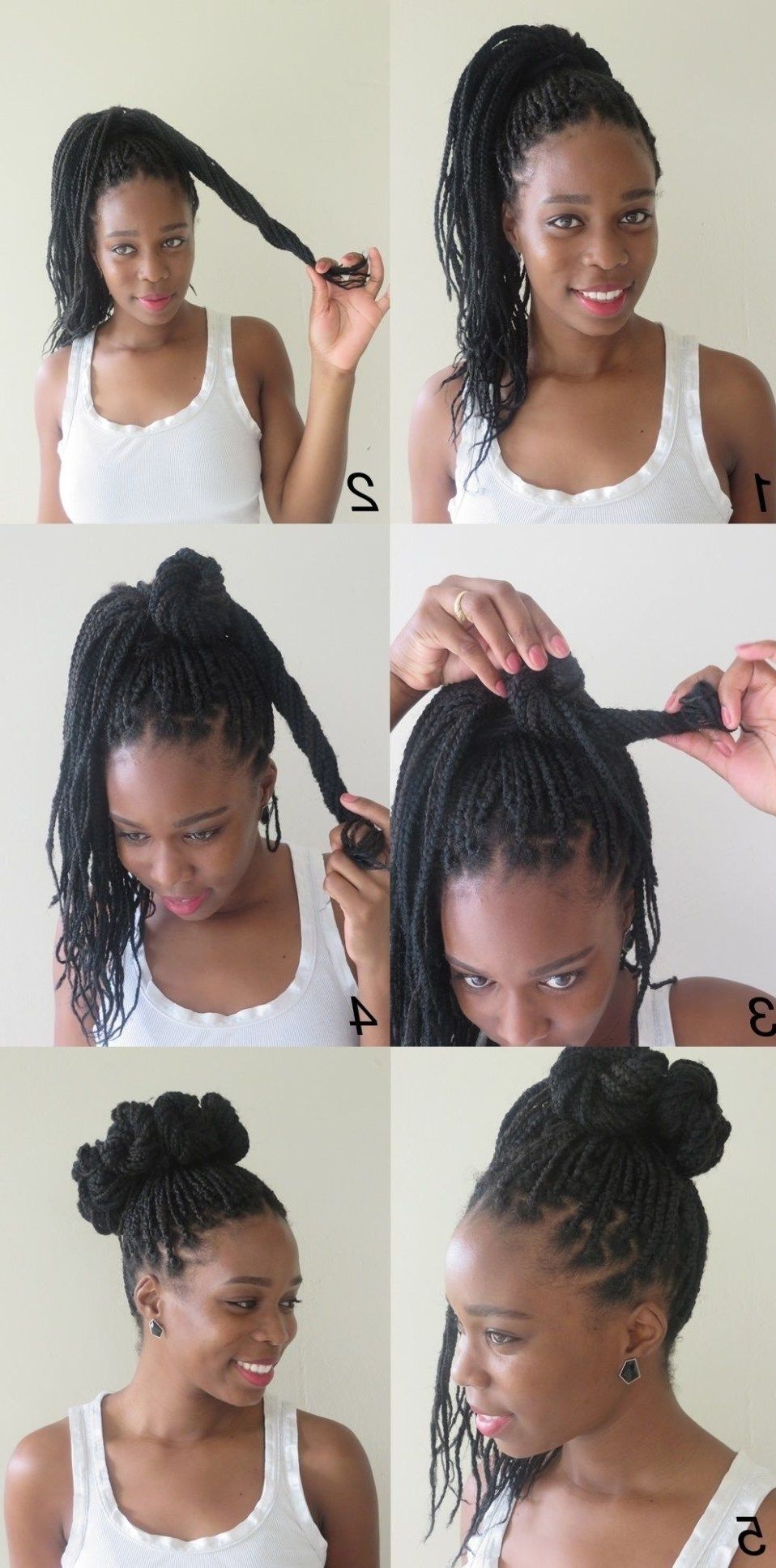 10 Instructions Directing You On How To Style Box Braids Throughout Favorite Bulky Braided Crown Bun (View 8 of 15)