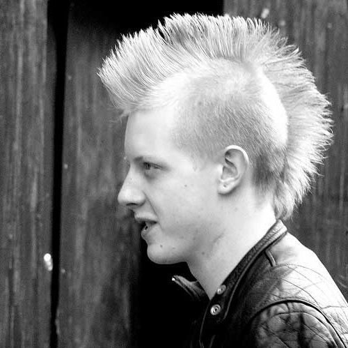 20 Best Punk Haircuts For Guys (View 6 of 15)