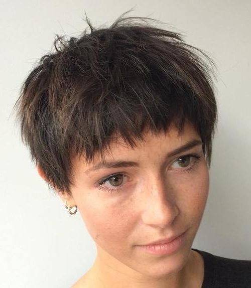 2018 Choppy Bowl Cut Pixie Haircuts Inside 35 Trendiest Short Brown Hairstyles And Haircuts To Try – Page  (View 9 of 15)