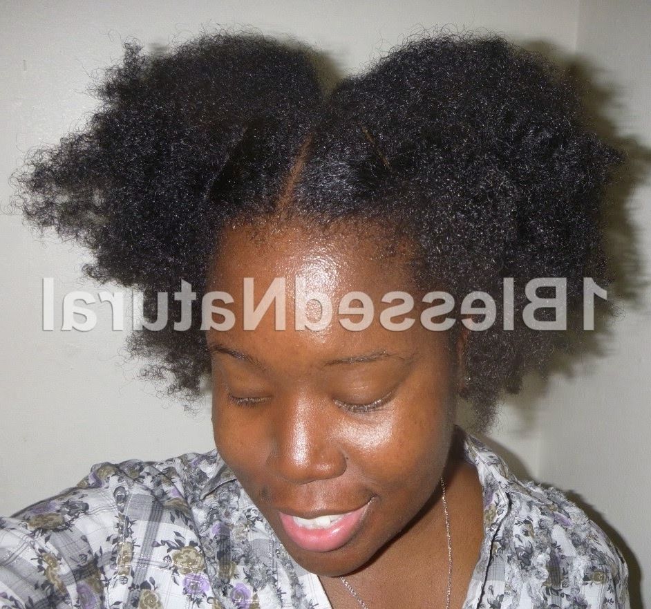 Chunky Flat Twists And Twist Out With Regard To Favorite Reverse Flat Twists Hairstyles (View 11 of 15)